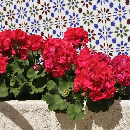 Backpackers Pension Facundo * Tarifa